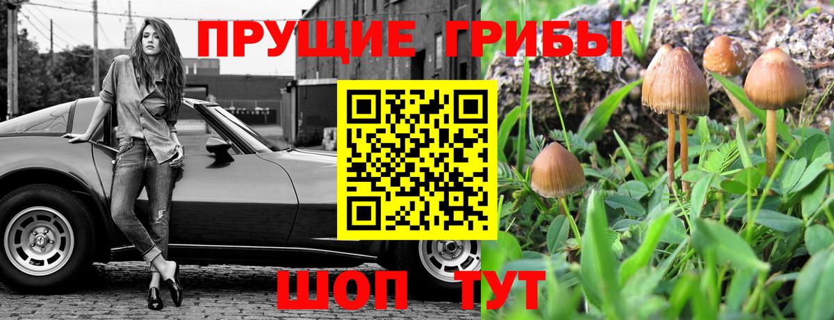 Псилоцибиновые грибы GOLDEN TEACHER Гусев