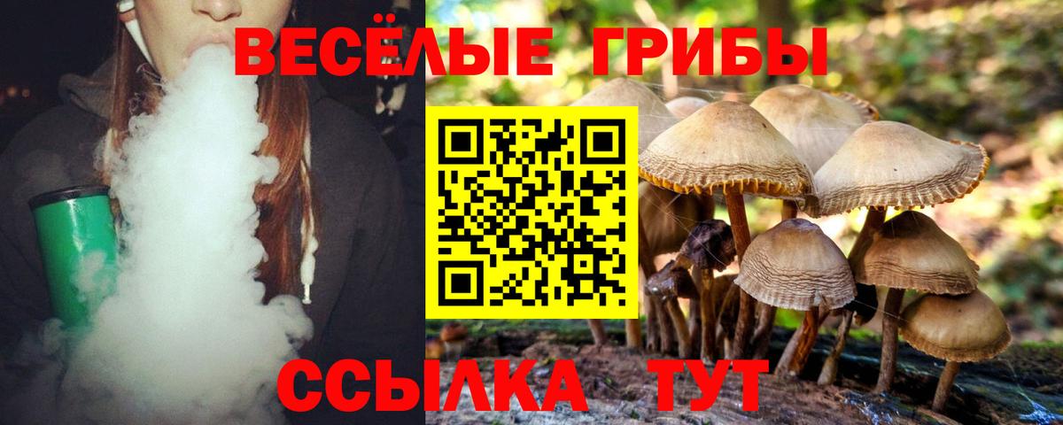 Галлюциногенные грибы Psilocybe  Вход с VPN  Гусев  Псилоцибиновые грибы Psilocybine cubensis 